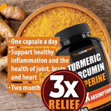Just One Vegan Turmeric Curcumin Capsule a Day – 95% Curcuminoids Turmeric Curcumin 3X Relief with BioPerine® Black Pepper – Extra Strength – Supports Joint Comfort & Healthy Lifestyle – 2 Months Supply
